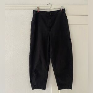 Everlane The Barrel Pant